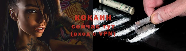 apvp Бородино